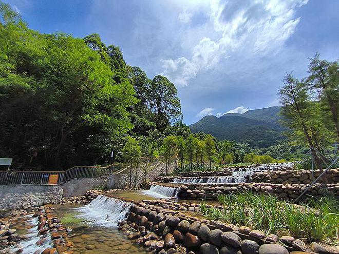 野猪闯村：坟墓与逝者之谜